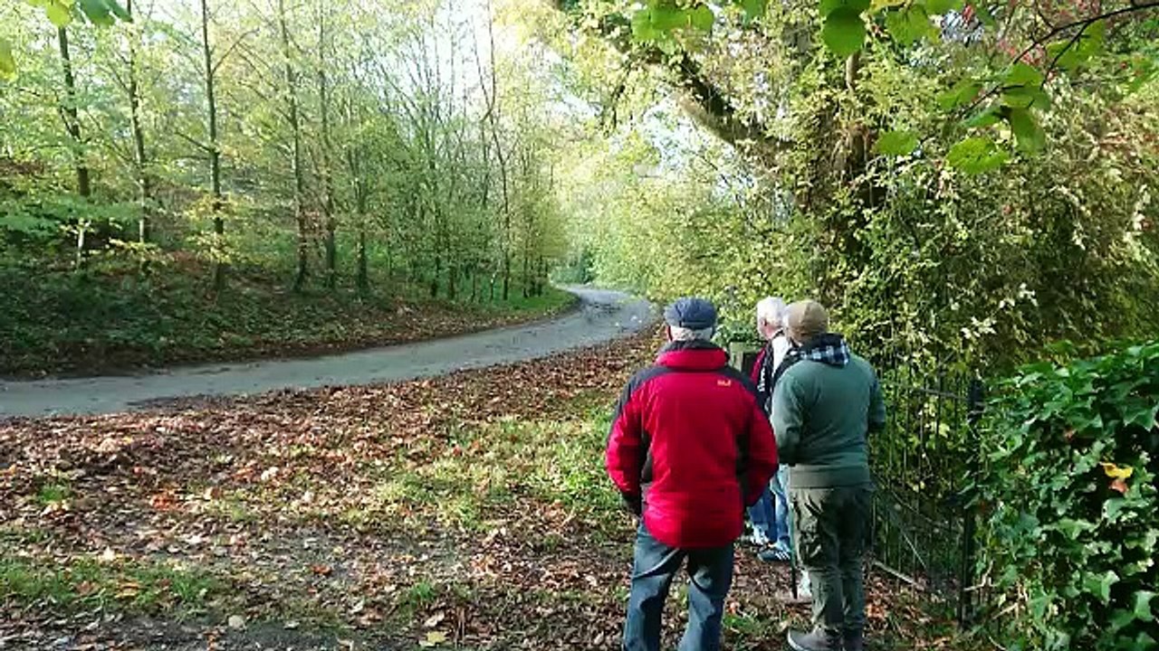 Rallye du Condroz: problème de capot pour David Bonjean