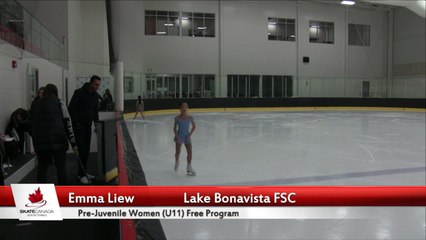 Pre-Juvenile Women U11 Free Program  Groups 1 to 3 - 2018 Sectional Championships - Alberta NWT/NUN - Red Arena