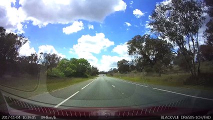 Why Did the Echidna Cross the Road?