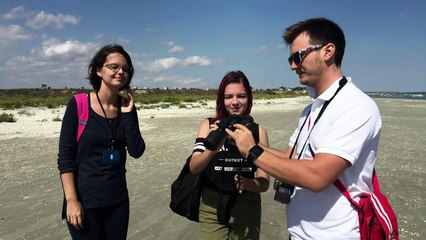 Todesfalle Fischernetz für Delfine im Schwarzen Meer