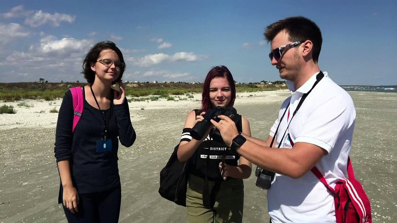 Todesfalle Fischernetz für Delfine im Schwarzen Meer