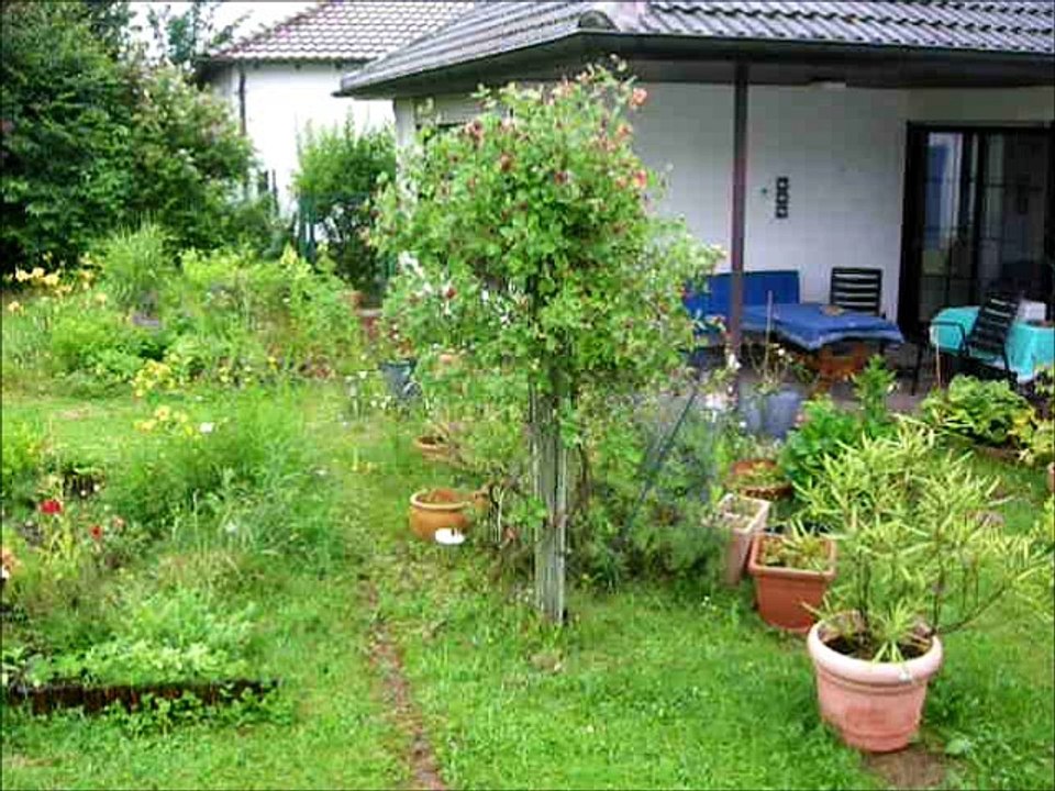 Raining - 04112017 - ein regentag