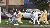 Please Enjoy This Beautifully Staged Chicken Vs. Cow Gang Fight