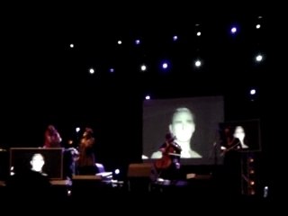 Wax taylor Live domaize