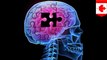 Penyakit Alzheimer: Penelitian terbaru menunjukkan kondisi dimulai di luar otak - TomoNews