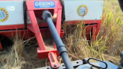 Burning Fields in Punjab | DW English