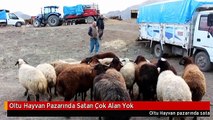 Oltu Hayvan Pazarında Satan Çok Alan Yok