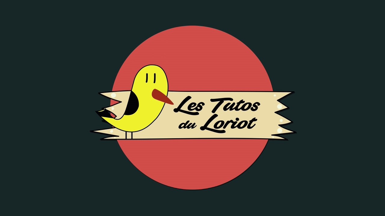 Les tutos du Loriot - Boulle de graisse pour oiseaux