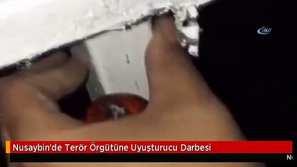 Nusaybin'de Terör Örgütüne Uyuşturucu Darbesi