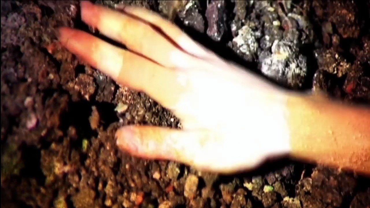 Bülent Bahadır Balcılar - Toprak