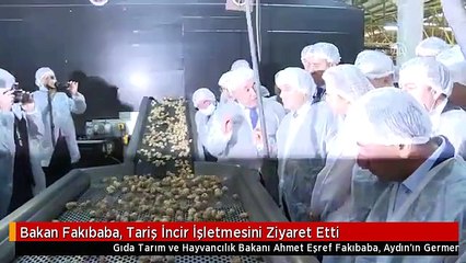 Bakan Fakıbaba, Tariş İncir İşletmesini Ziyaret Etti