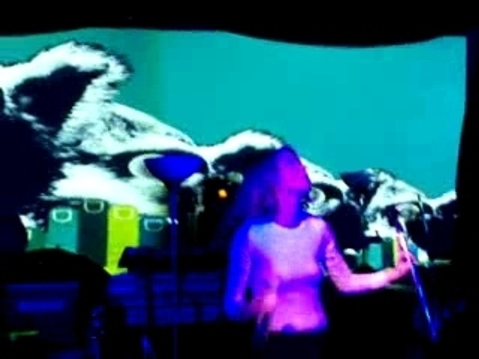 Primitive Live@Maison Folie Moulins - Lille - 15/11/07