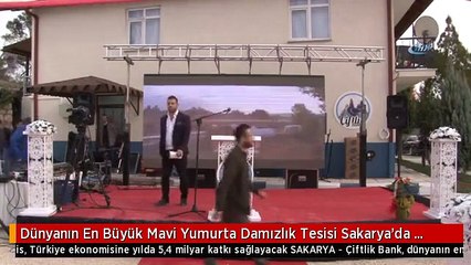 Dünyanın En Büyük Mavi Yumurta Damızlık Tesisi Sakarya'da Açıldı