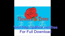 How to Draw Flowers and Trees (Doodle Books (Child's Way))