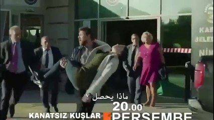 مسلسل طيور بلا أجنحة الحلقة 21