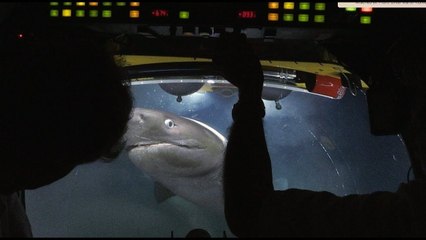 Requins vs Submersible Lula 1000 (Blue Planet II)