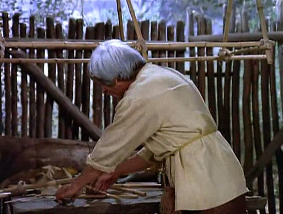 Planet der Affen  E14