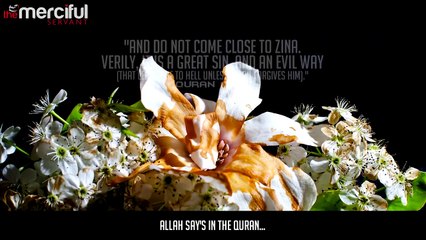 God (Allah) Said_ Don't Come Near it!