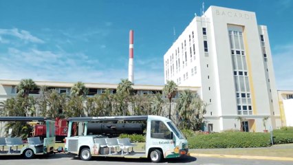 Casa Bacardi Tour Guides Help at Puerto Rico Shelters | Bacardi Limited