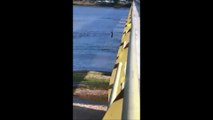Homem morre afogado após pular no Rio Doce em Colatina