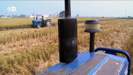 Reporteros en el mundo - Los "dreamers" luchan por quedarse en EE. UU. | Reporteros en el mundo