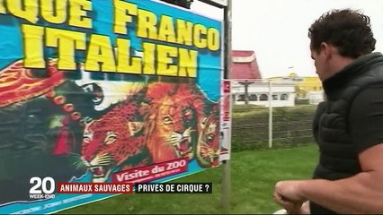Animaux sauvages : privés de cirque ?