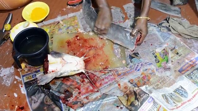 Catfish Cleaning and cooking | Keluthi meen cutting and Cooking | Fish Gravy | Meen thokku
