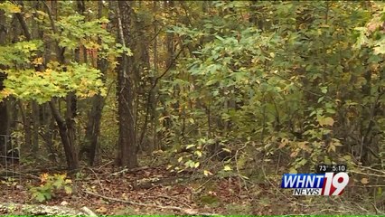 Man Drives Two Hours to Search for Missing Girl, Finds er in Alabama Forest