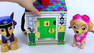 PATRULHA CANINA CASINHA SURPRESAS PAW PATROL BEST LEARNING COLORS VIDEO FOR CHILDREN TOYS