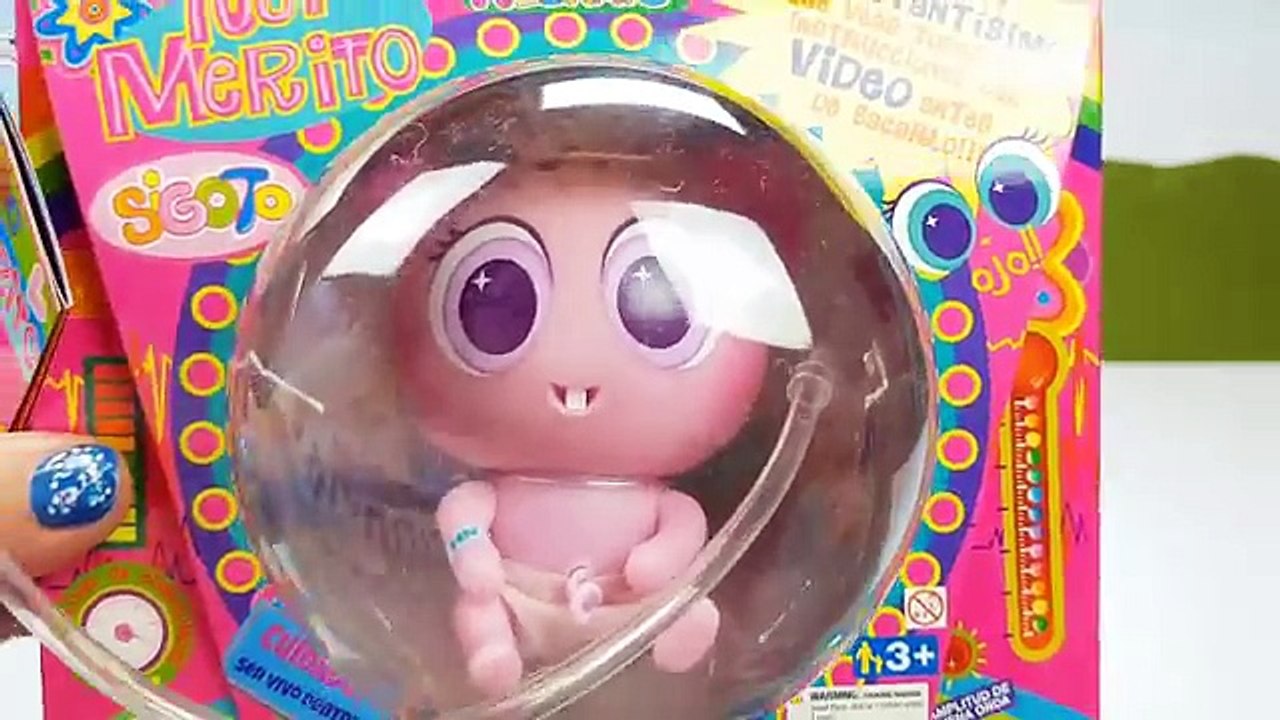 Ksimerito Distroller. Adoptamos a Machincuepa | Primeros cuidados de tu ksimerito