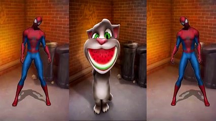 ✿ Baby Learn Colors with SPIDER MAN with TALKING TOM Animation hero Education Cartoon videos Kids