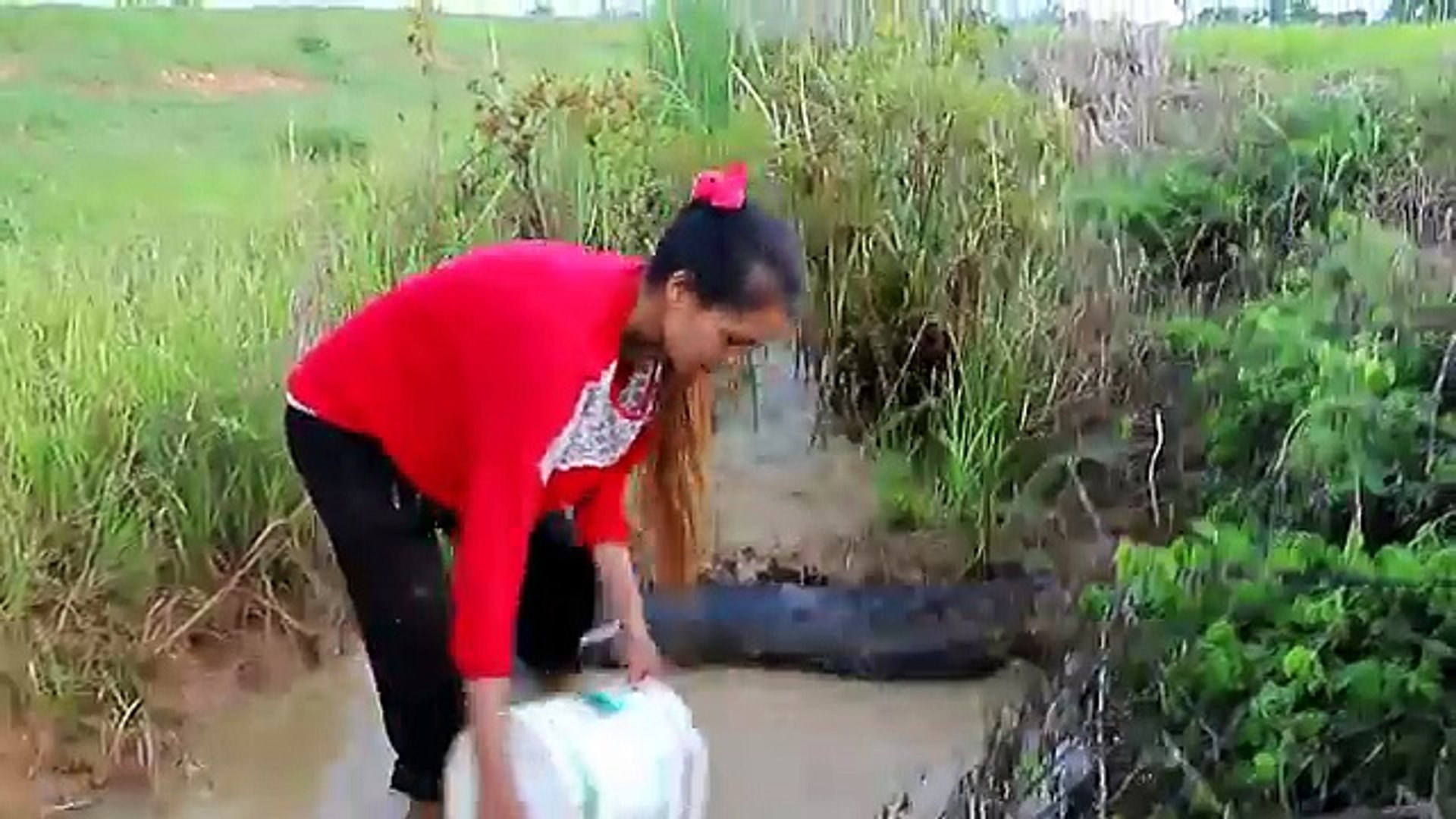 Beautiful Girl Fishing - Amazig Fishing at Battambang - Cambodia Traditional Fishing - (Pa