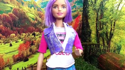 Emma y Lucas van de acampada al bosque por la escuela | episodios de Ladybug