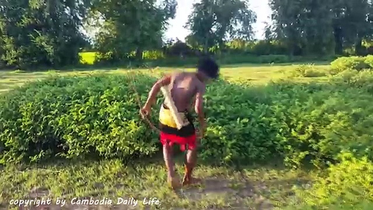 Amazing Boy Shoot Frog With Bow - How To Catch Frogs By Shooting