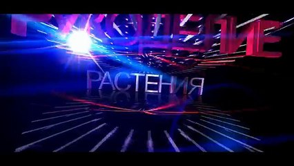 Жареная картошка с грибами Рецепт жареной картошки с маслятами