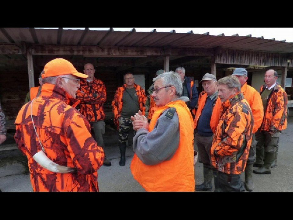 photos vidéo chasse le 4 Novembre 2017 Marais St Gilles Abbeville