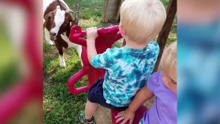 The Funniest Pets Meet The Cutest Kids & Babies of 2022-2023 Weekly Compilation   Funny Pet Videos