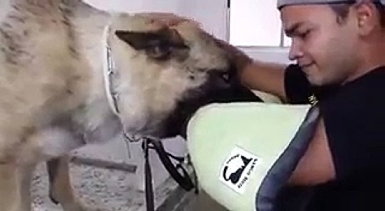 O ultimo adeus !!! Va em paz Othello do Sadonana