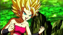 combatepelea Goku Vs Caulifla  Dragon Ball Super capitulo 113