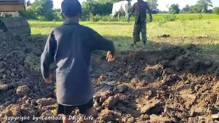 Ooop!! Two Brothers Catch Biggest Snake While Excavator Digging The Ground
