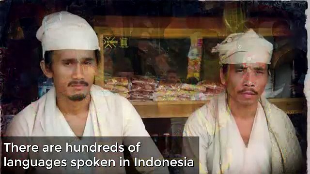 The Indonesian Language (Bahasa Indonesia)