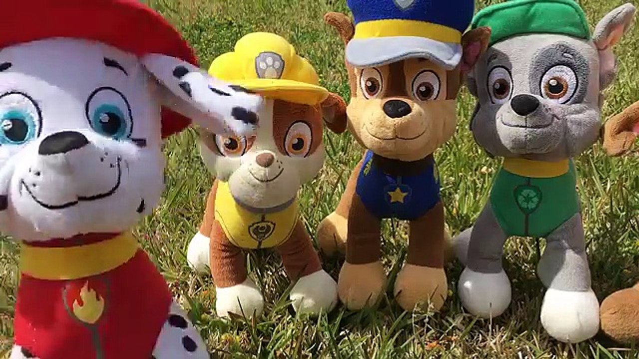 Patrulla canina juguetes en español RYDER DE PAW PATROL PIERDE EL BUS de la excursion