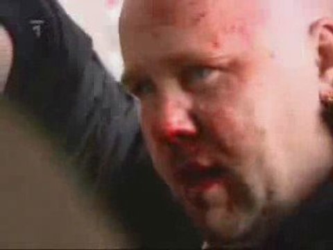 Des porcelets se font gonfler le nez !