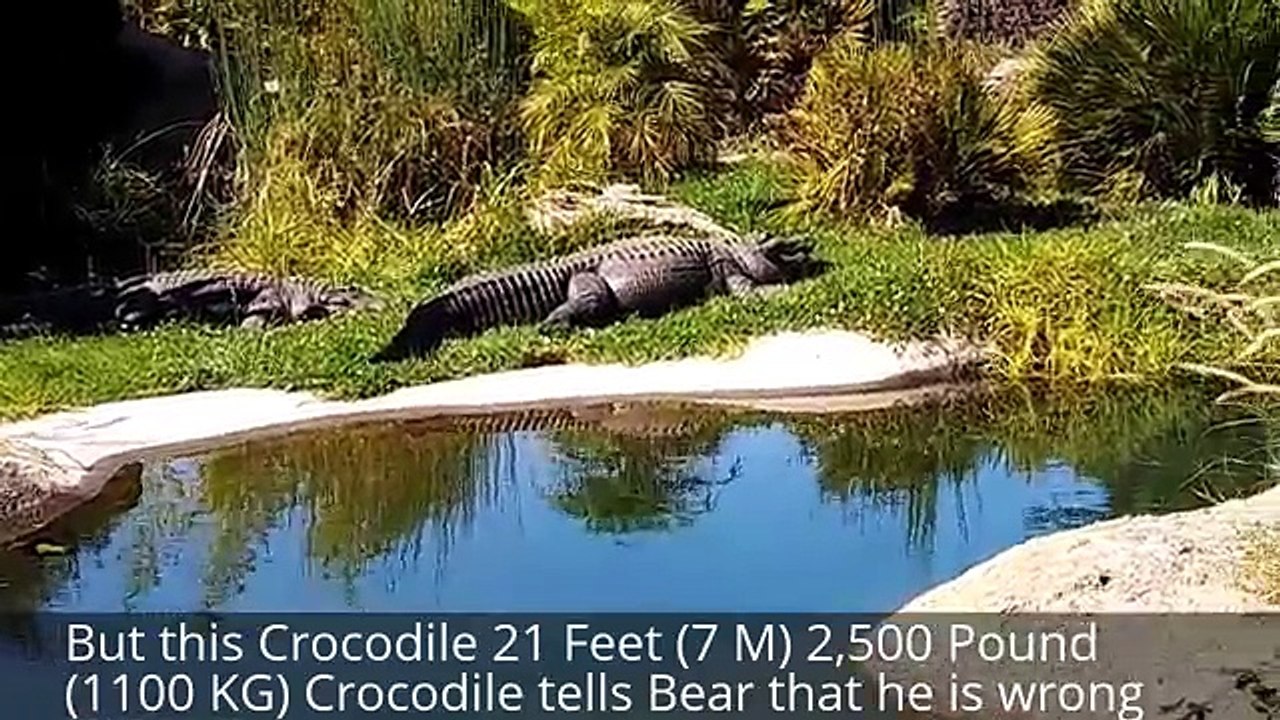 Living Giants II: 3 Head Dragon, 2 Head Alien, Man Eating Lizard, Reptilian Monster, Titanoboa