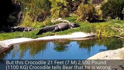 Living Giants II: 3 Head Dragon, 2 Head Alien, Man Eating Lizard, Reptilian Monster, Titanoboa