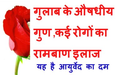Gulab ke Ayurvedic Fayde | Ayurvedic use of Rose | Gulab ke gharelu nuskhe aur fayde.