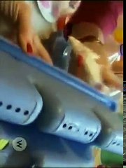 How Clean is Your House Lesleys Five Kids