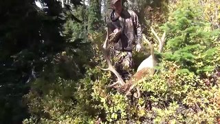 Idaho Archery Elk Hunt 6x6 - Stuck N the Rut 35
