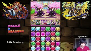 [Puzzle & Dragons] PAD Academy