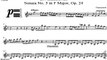 L.V.Beethoven - Violin Sonata in F Major No 5 Op.24 Spring - 1 mov Allegro - Piano accompaniment